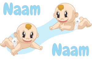 Geboortesticker Tweeling jongens