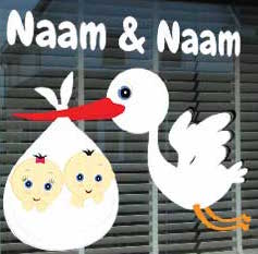 geboortesticker op raam tweeling