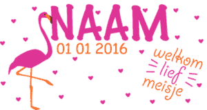 hartjes flamingo geboortesticker