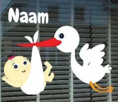 raamsticker ooievaar baby