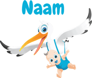 Geboortesticker ooievaar jongetje