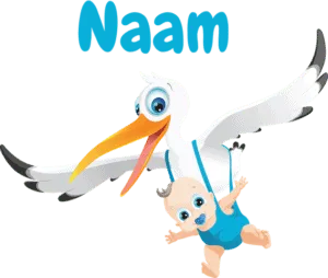 Geboortesticker ooievaar jongetje