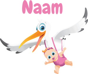 Geboortesticker ooievaar meisje