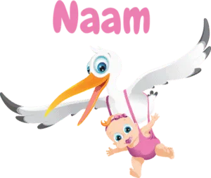 Geboortesticker ooievaar meisje