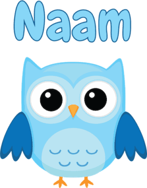 Geboortesticker blauwe uil