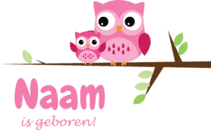 Geboortesticker roze uiltjes