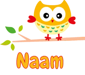 Geboortesticker geel uiltje met naam voor op het raam